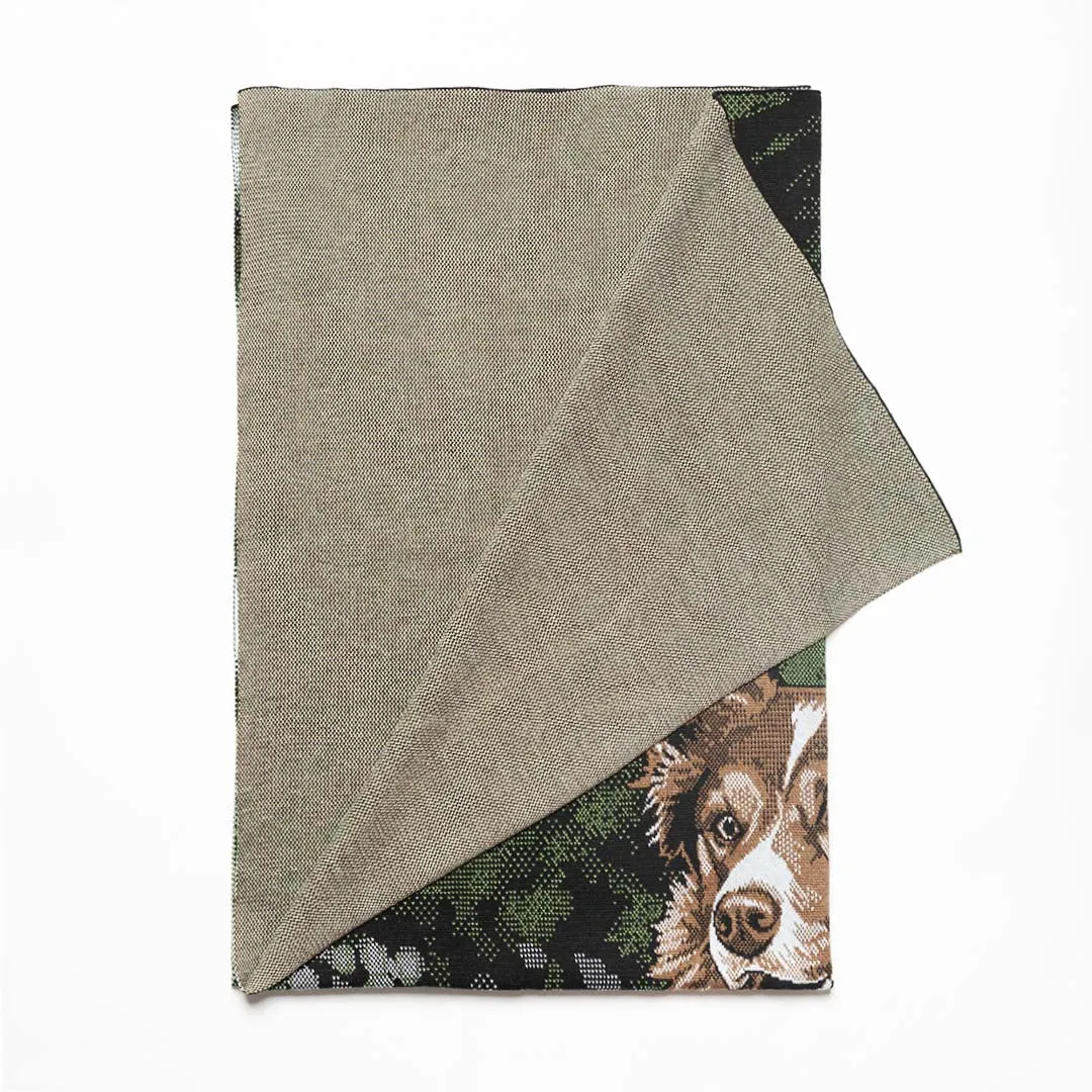 Blanket