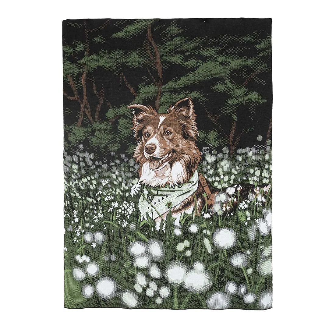Blanket