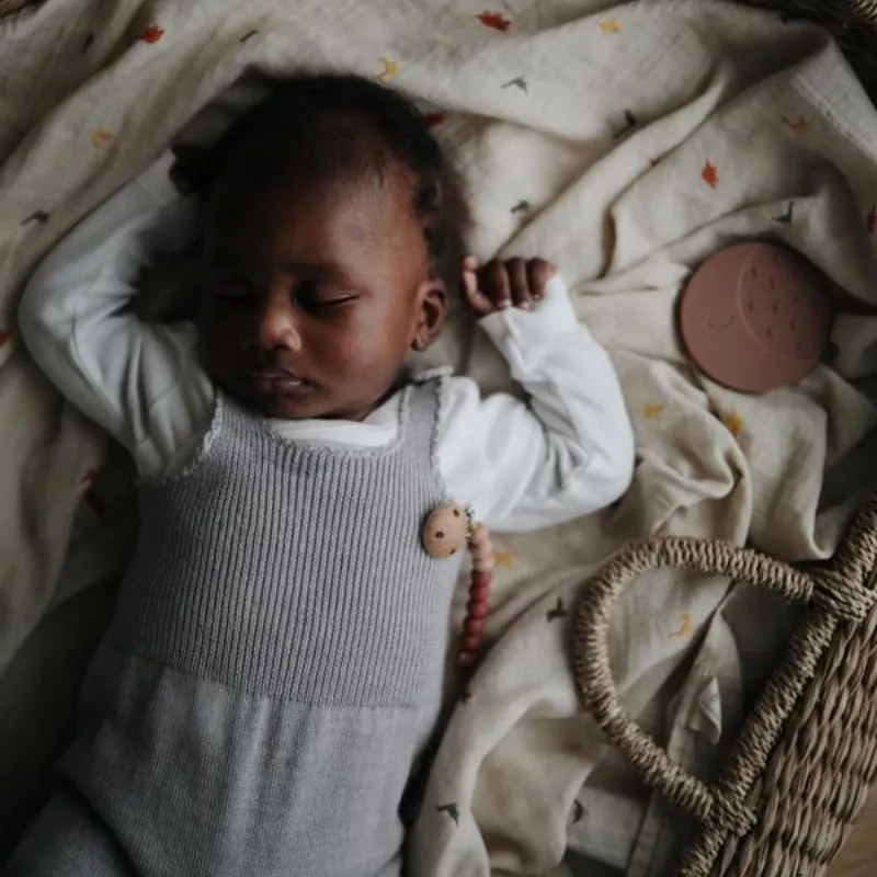 Muslin Swaddle Blanket