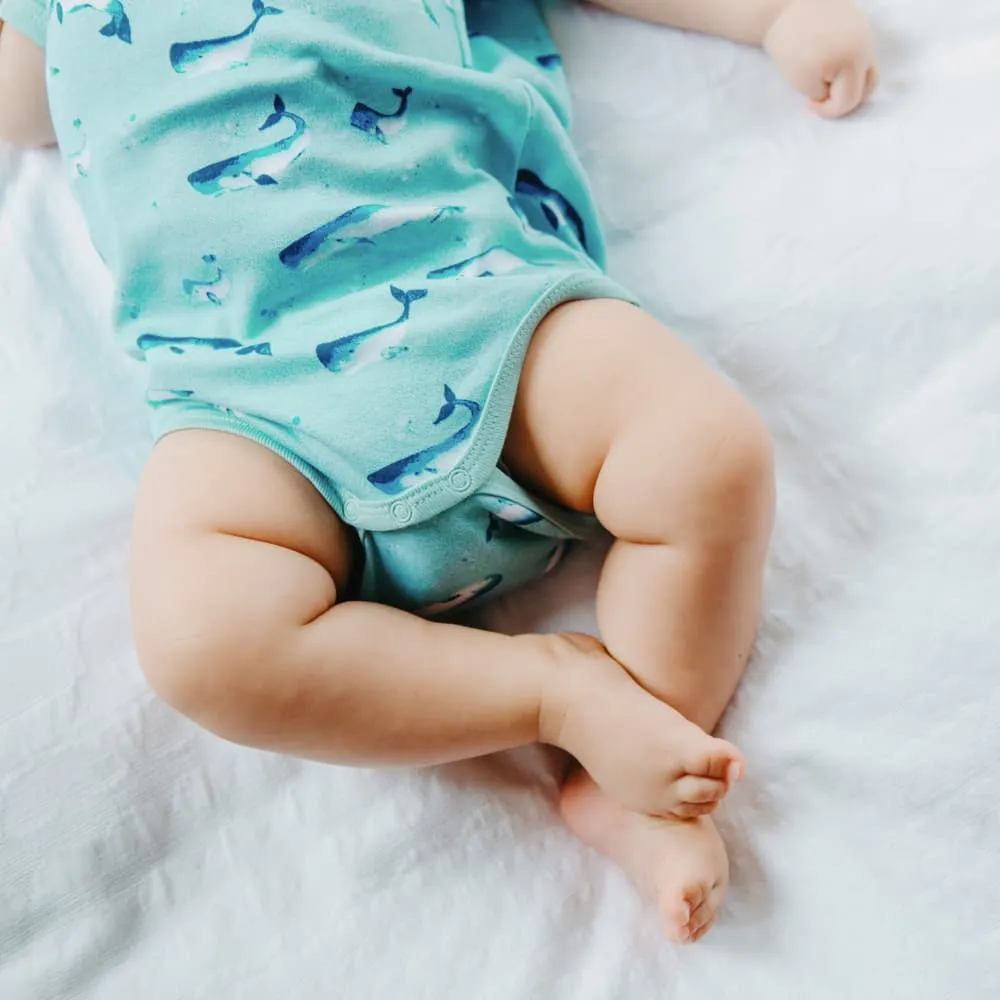 Organic Cotton Summer Short-Sleeve Onesie - Watercolour Whale Pods in Aquatic Blue
