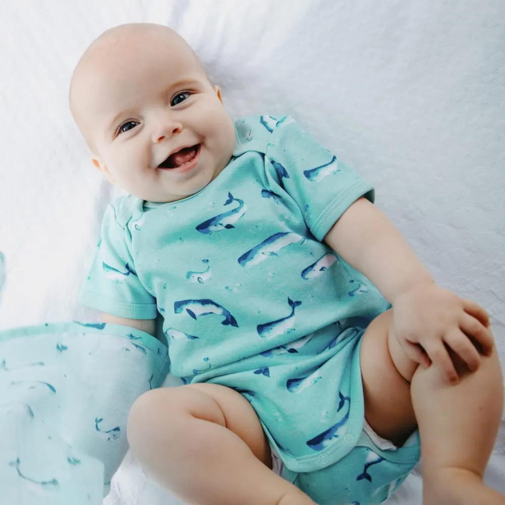 Organic Cotton Summer Short-Sleeve Onesie - Watercolour Whale Pods in Aquatic Blue