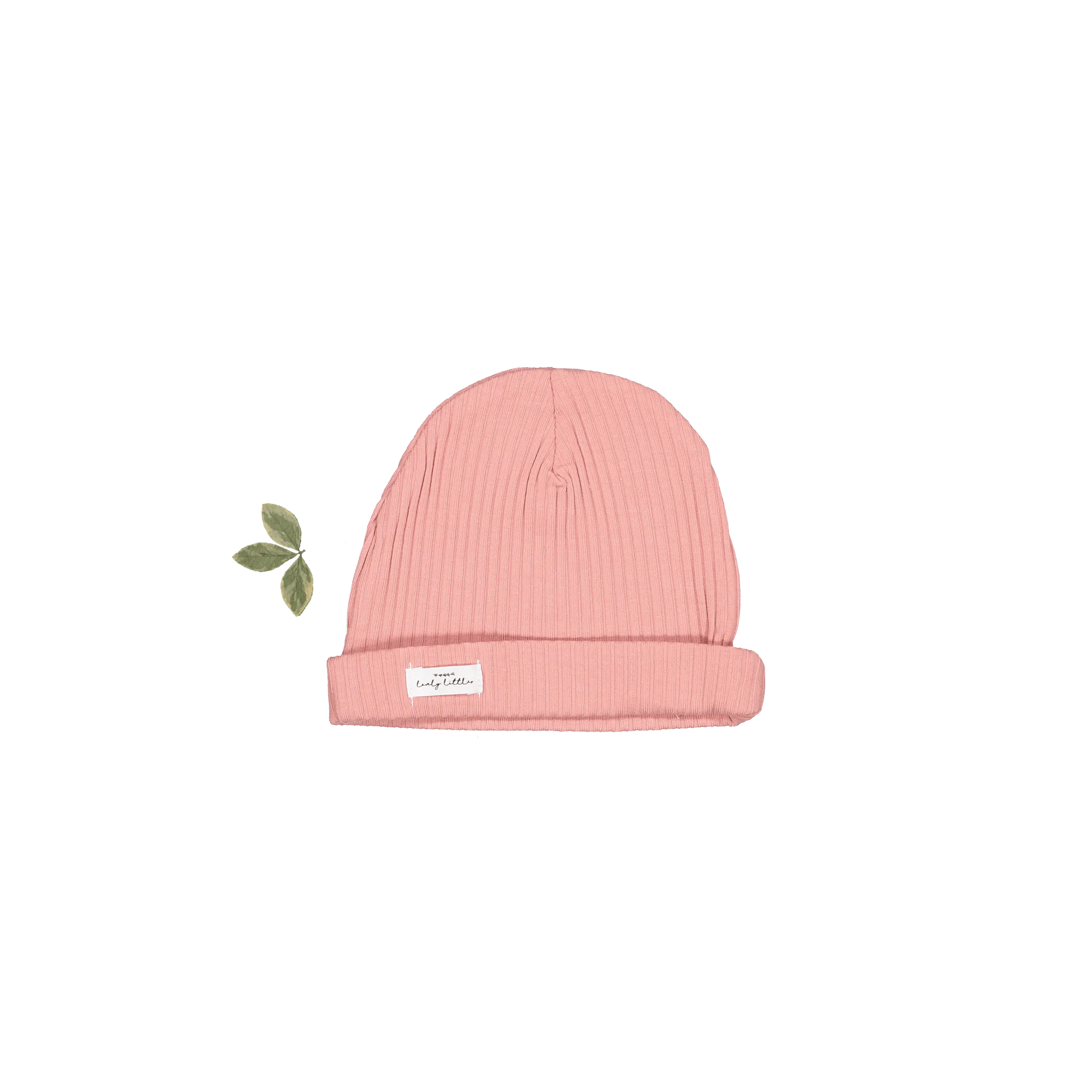 The Hat - Rose