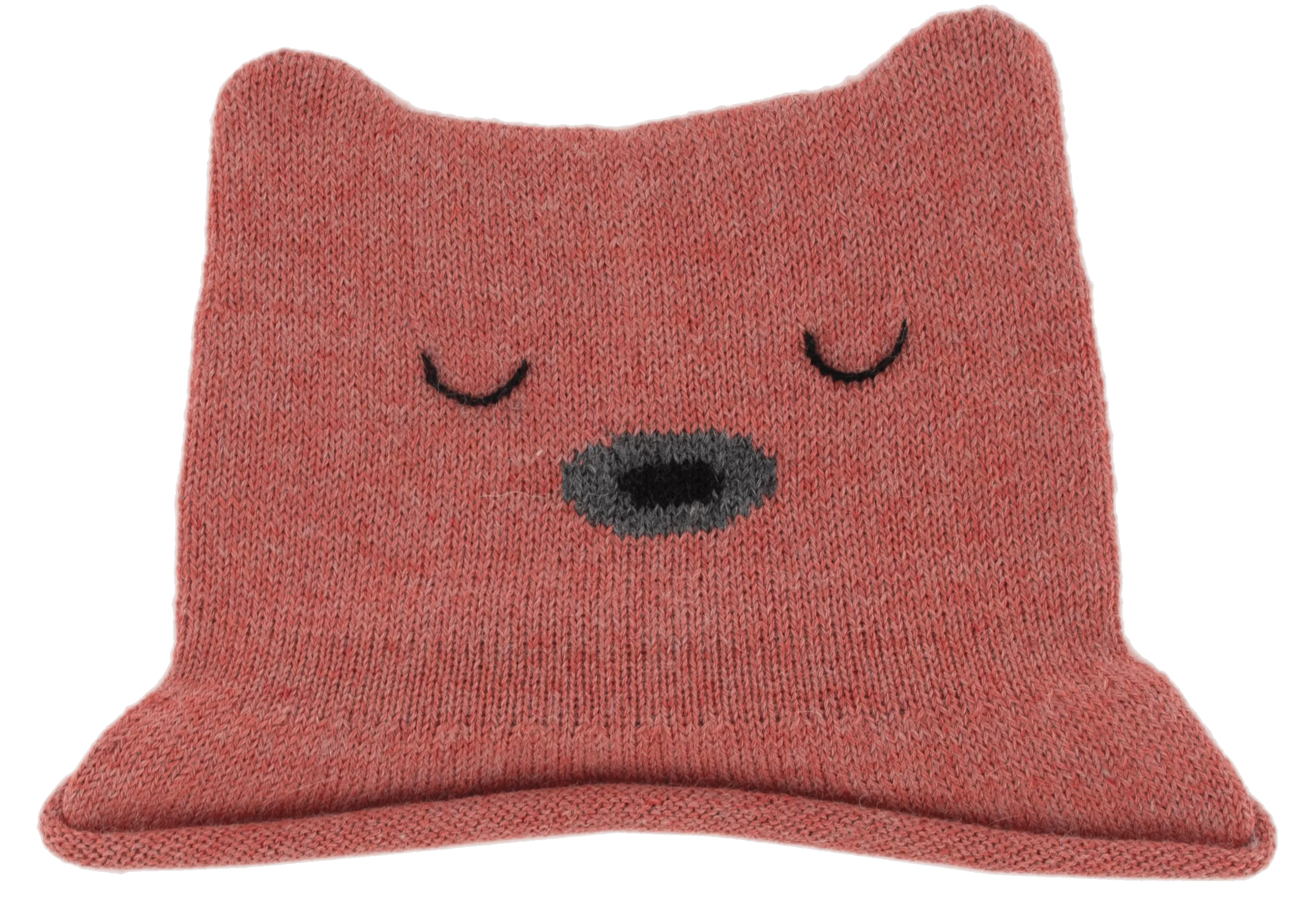 Z NW405 Pink Bear Hat