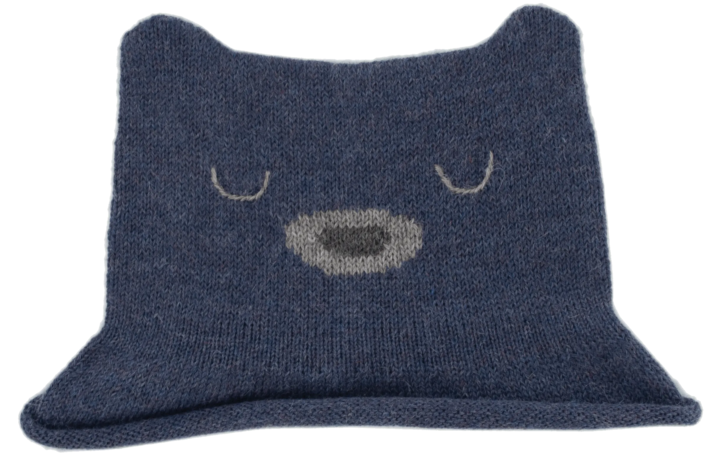 Z NW406 Blue Bear Hat